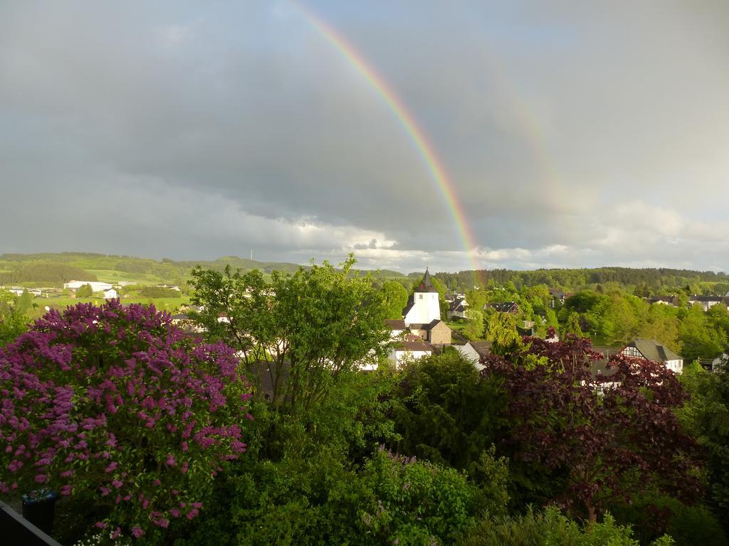 Eifel Panoramablick Apartment Kelberg Room photo